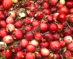 Don't Skip the Cranberry Sauce This Thanksgiving