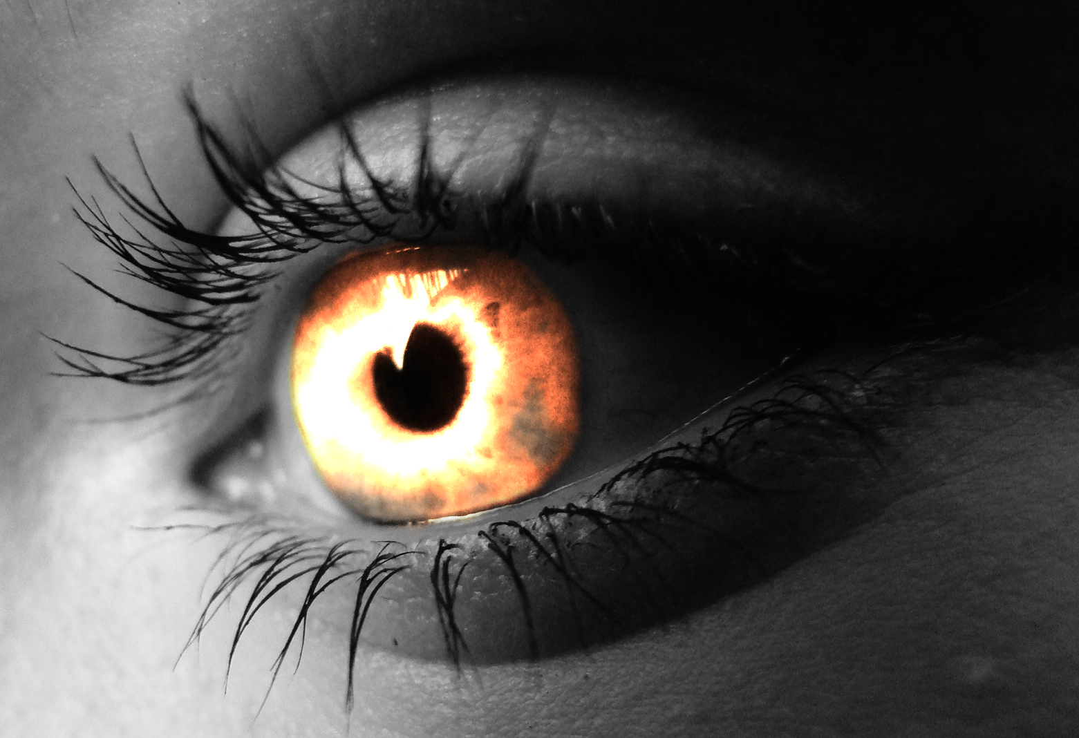 Frightful for Your Sight