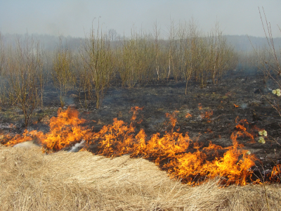 Fires Flare Up Asthma and COPD Attacks