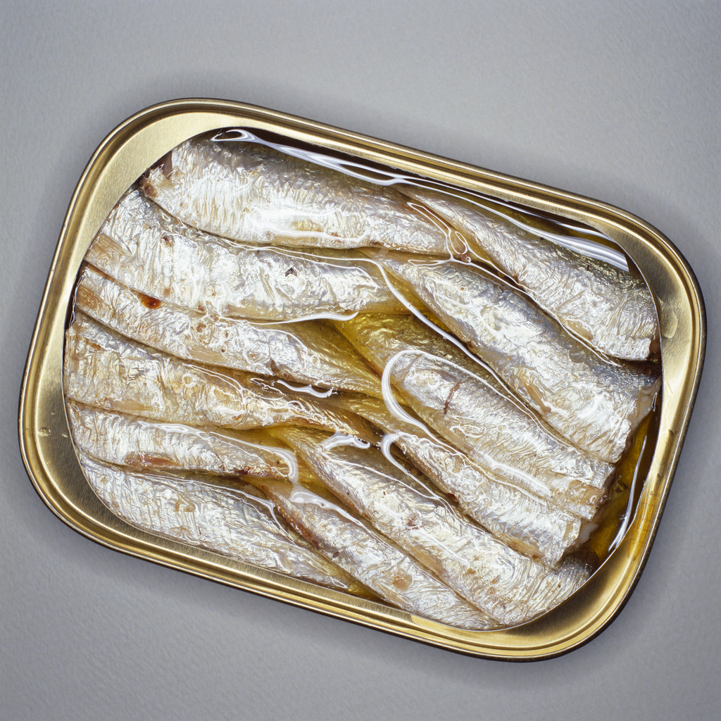 The Fish Might Make You Sick
