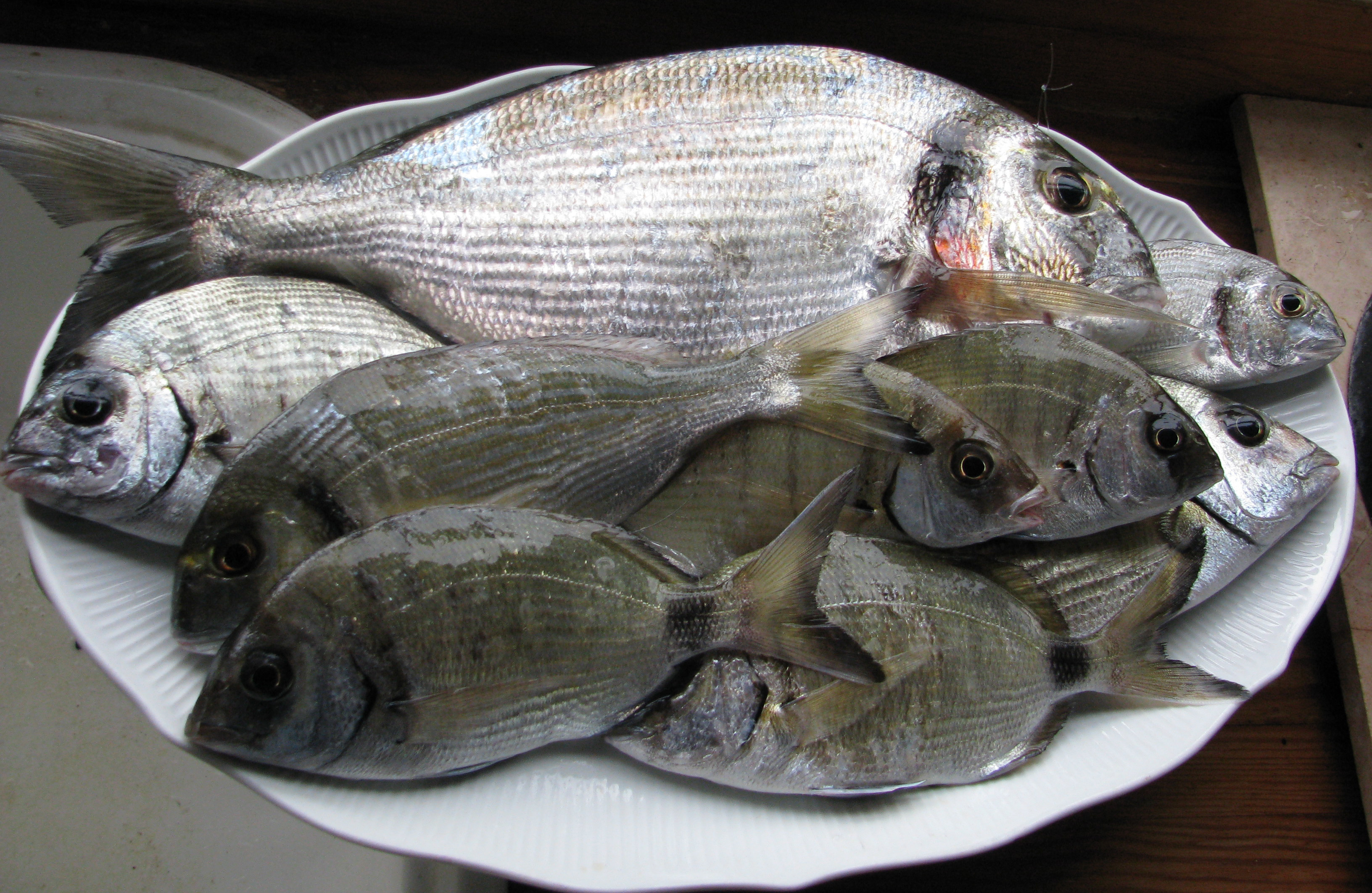 One Fish, Two Fish, Go Low-Mercury Fish