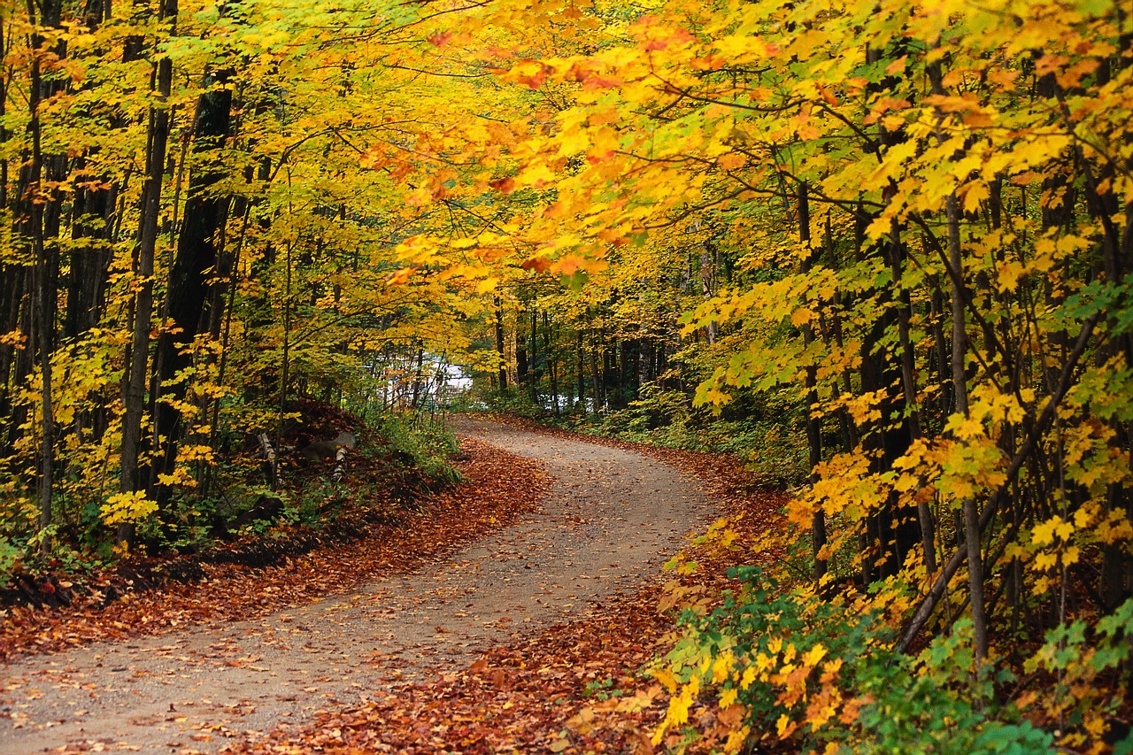 The Long and Winding Cancer Clinical Trial Road