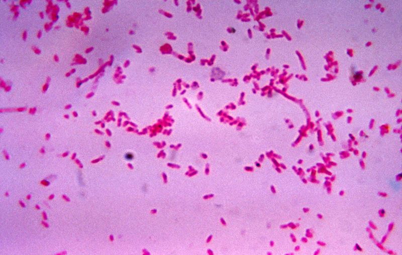Colon Cancer's Secret Agent