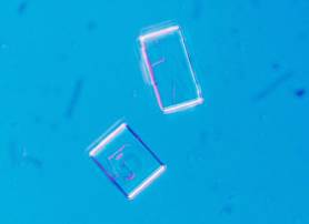 Thyroid Cancer's Three Gene Soup