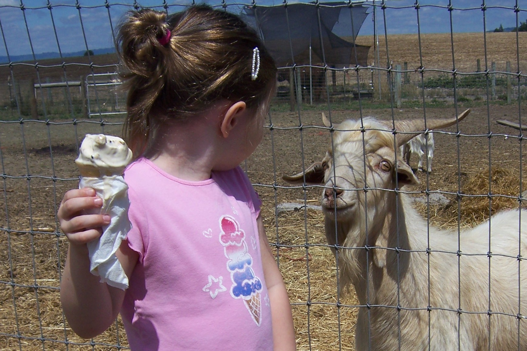 Infection Alone Not Getting Cystric Fibrosis' Goat