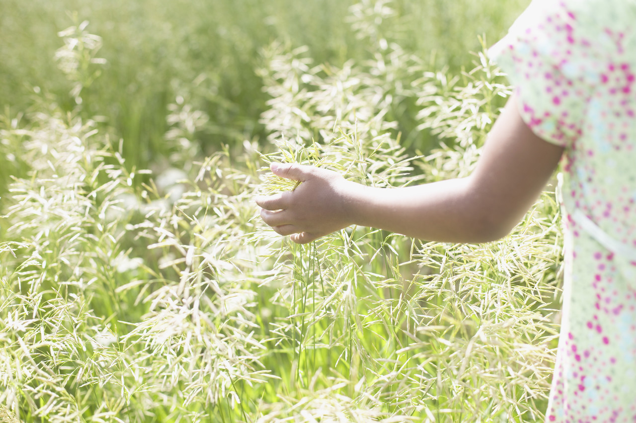 Pollen Counts Soaring in Europe