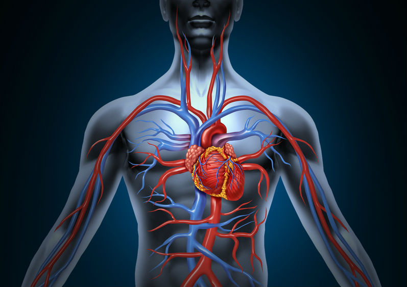 Infection Risk After Heart Surgery 