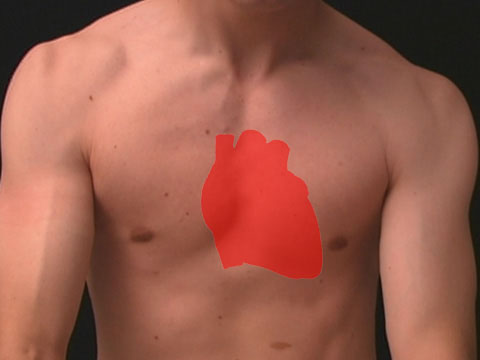 Spotting Off-Beat Heart Rhythms