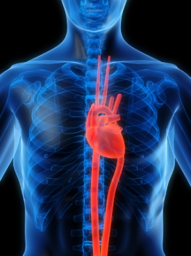 Too Much, Too Little Sleep Affects Heart Health