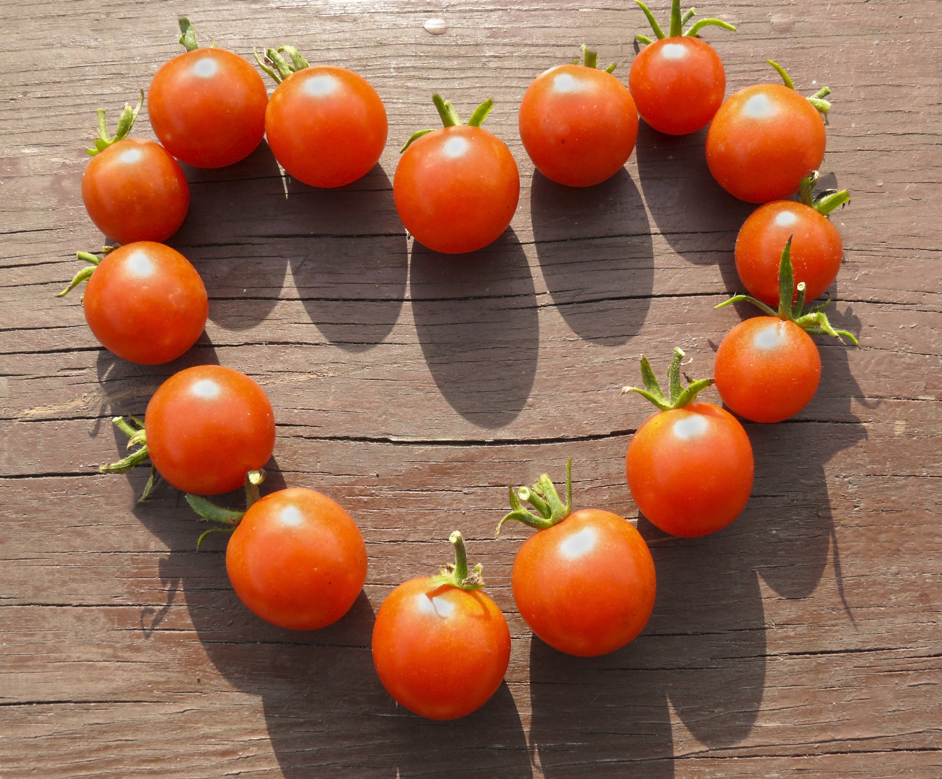 Is My Heart Safe from Food Poisoning Bug?