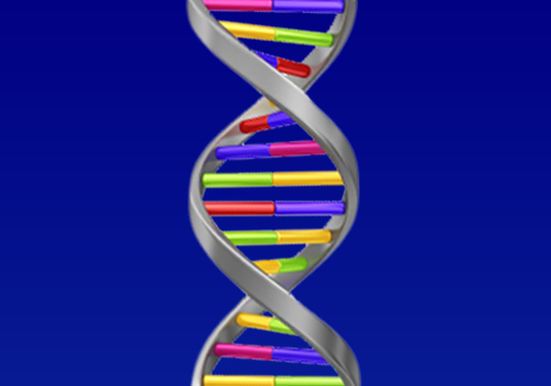 Most of Us Have the Alzheimer's Gene 