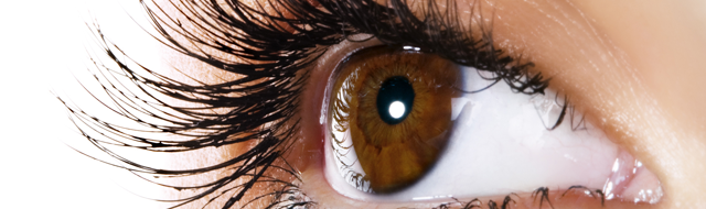 Here's Looking at Your Eyes
