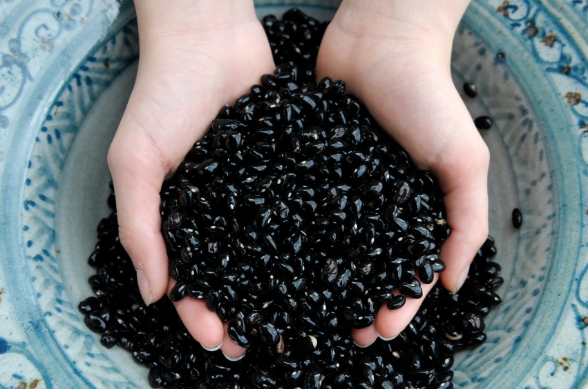 A Bean a Day Keeps the Gas Away?