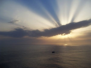 A Vast Horizon - Cancer Vaccines