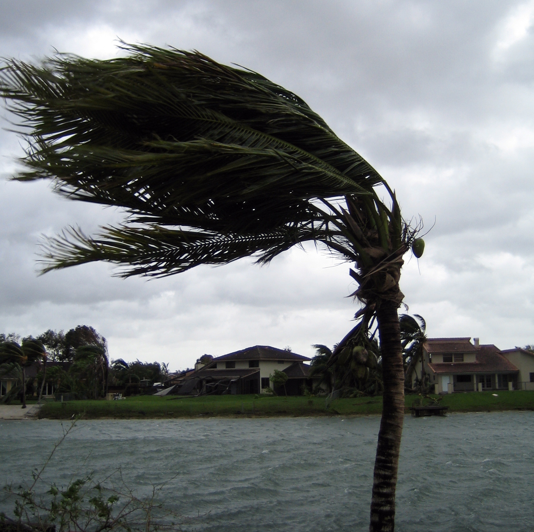 Forecasting Brain Tumor Growth Like Hurricanes