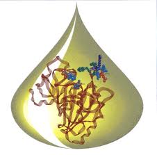 Phase 2 Results for Lipid Drug