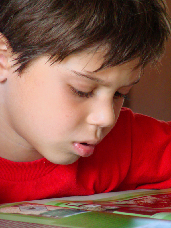 A Right to Education: ADHD and the Law