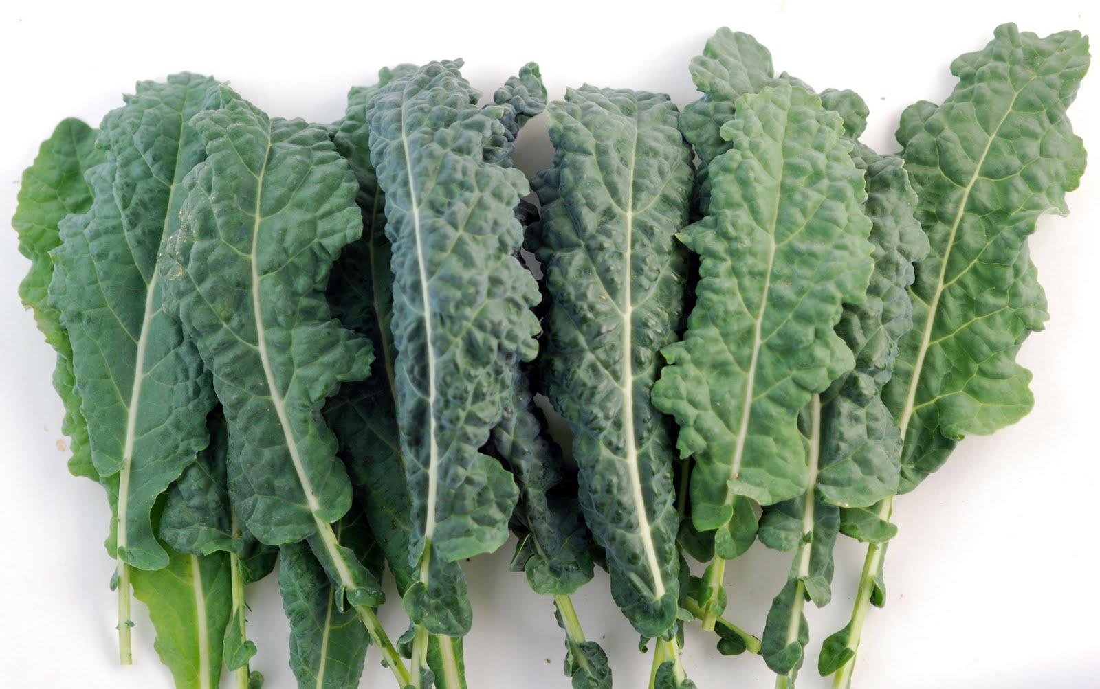 B-vitamins Defend the Liver From Arsenic Poisoning