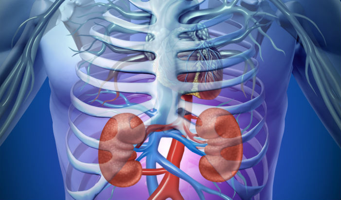 Smoking and Kidney Function in African-Americans