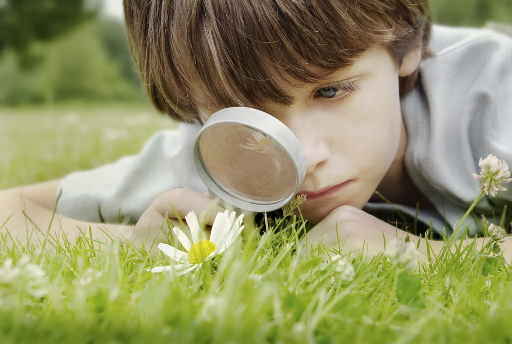 $100 Million for Autism Research