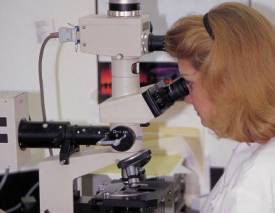 SNaPshot Makes Genetic Testing a Snap