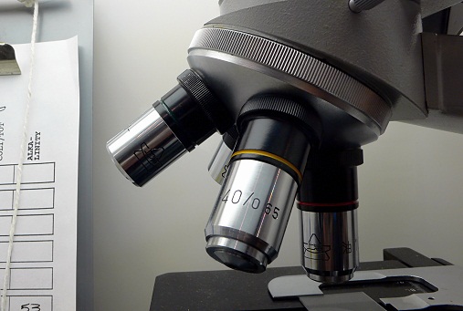 Brain Cancer Research Could Lead to New Drugs