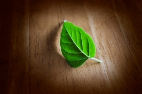 Natural PMS Relief