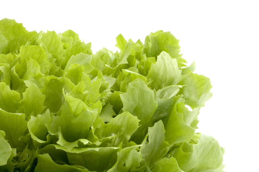 Restaurant Salads Indicated in Outbreak