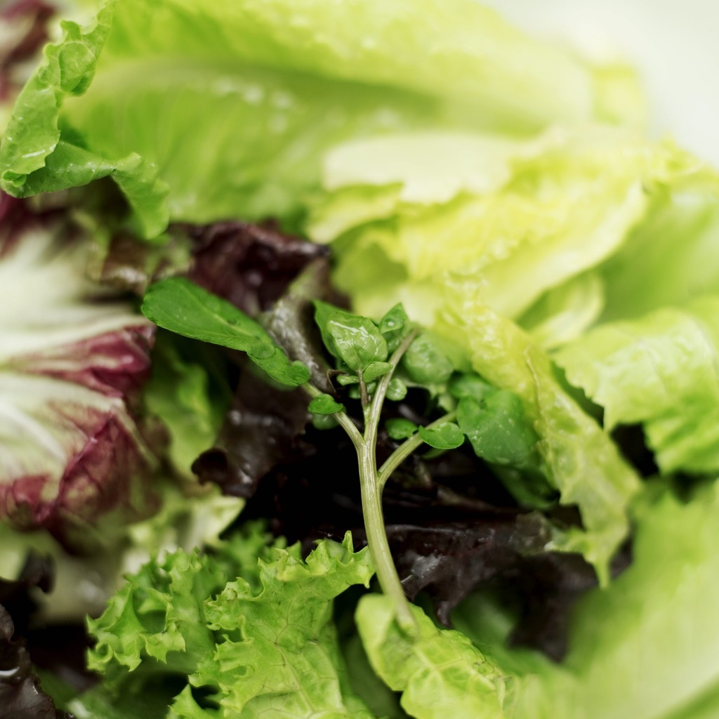 Mindful Eating for Diabetes