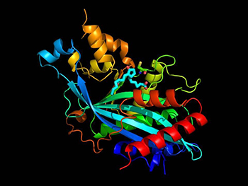 Fish Oil Possible Solution for Leukemia 