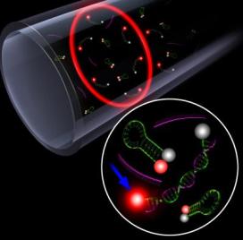 Making Damaged Genes Sparkle