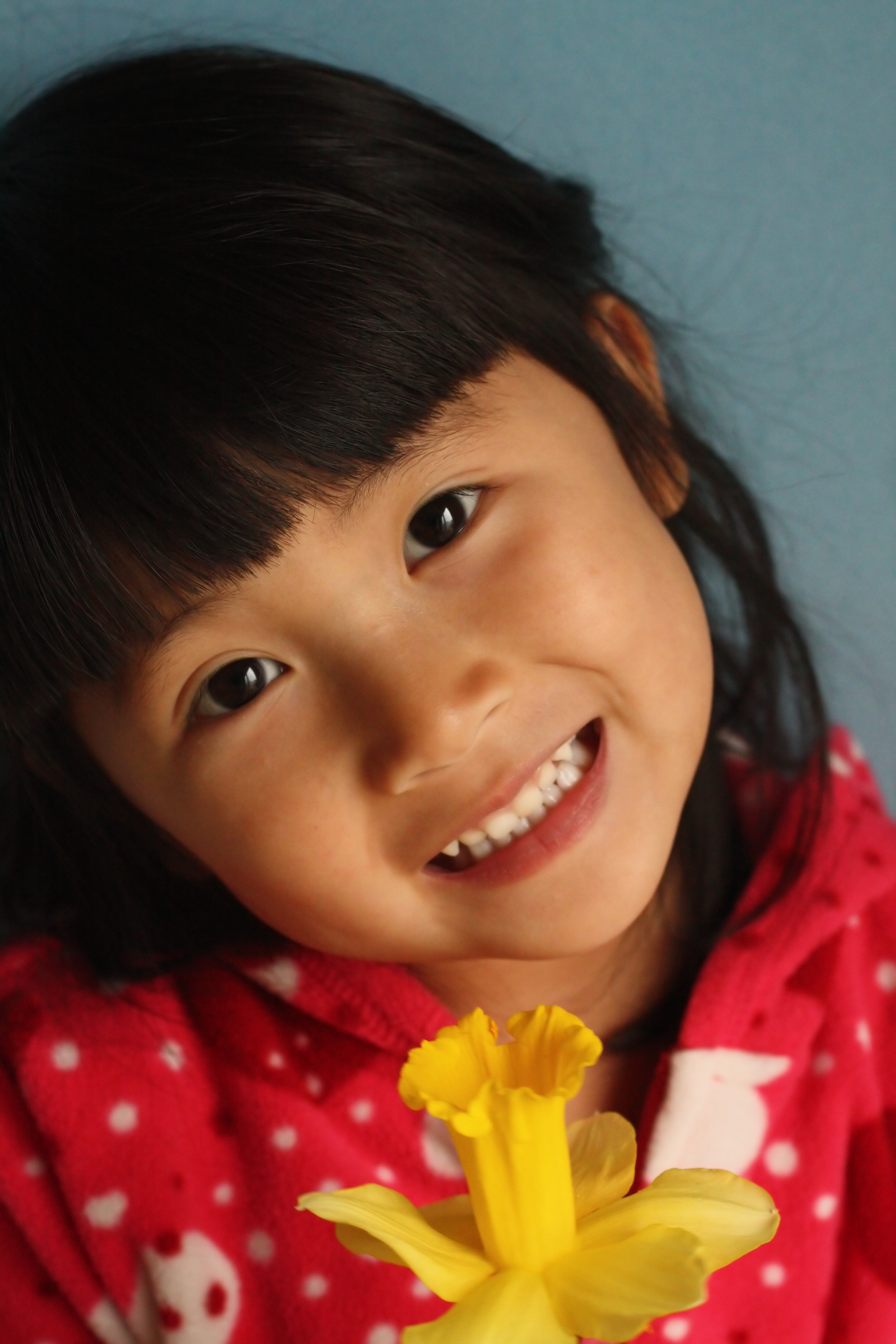 Healthy Smiles