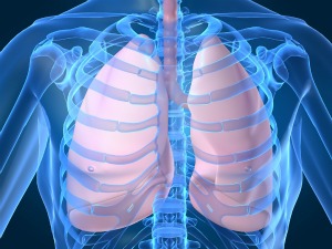 Supplements Have No Impact After Lung Injury