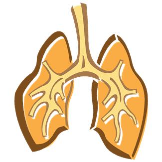 Know Enough About COPD?