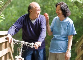  Prostate Cancer Hormone Therapy Safe