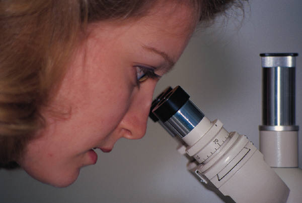 Stem Cells Could Reverse Type 1