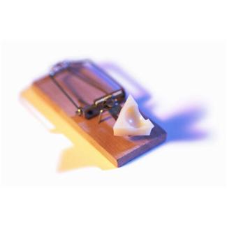 Saturated Fat Getting a Bad Rap?