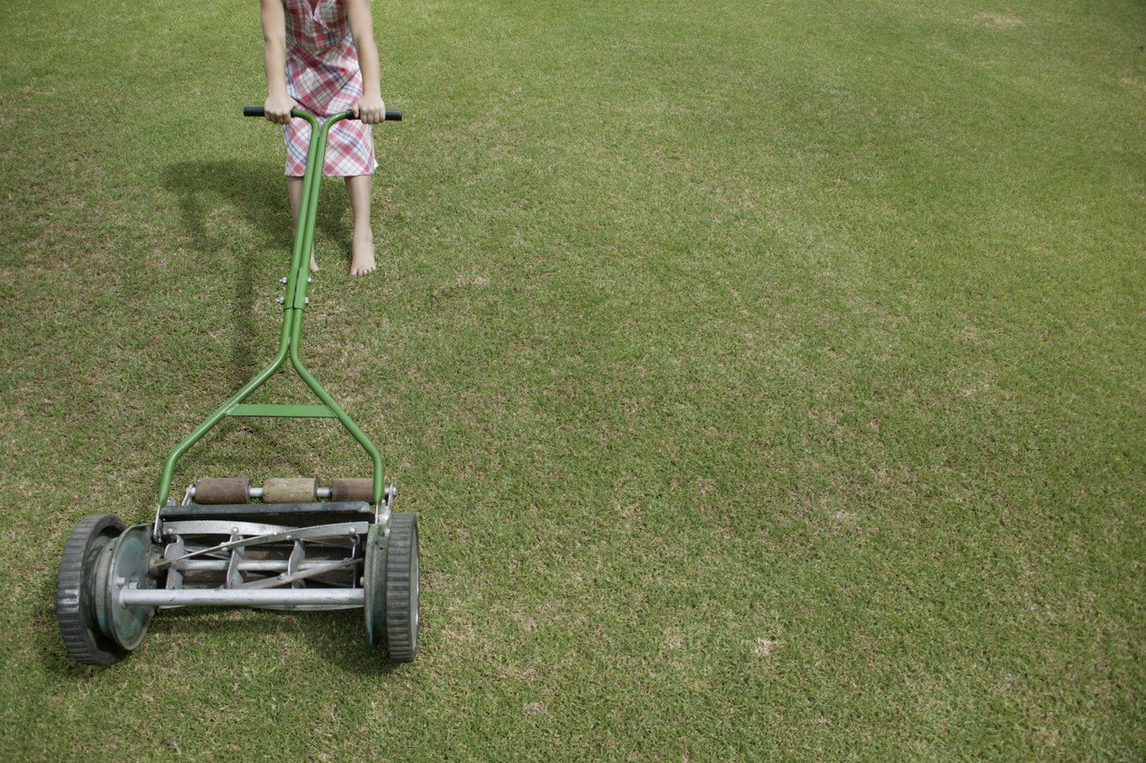 Pollen Can Trigger Childhood Asthma