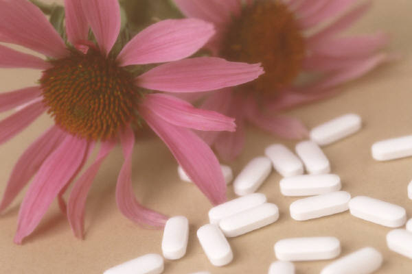 Ecstasy is Bad for the Memory