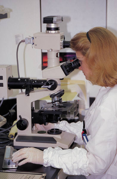 Certain Prostate Cancer Tumors More Likely to Metastasize