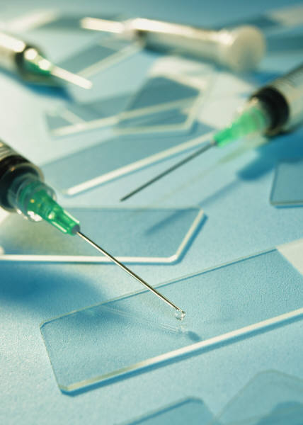 These Stem Cells Came From Where?!