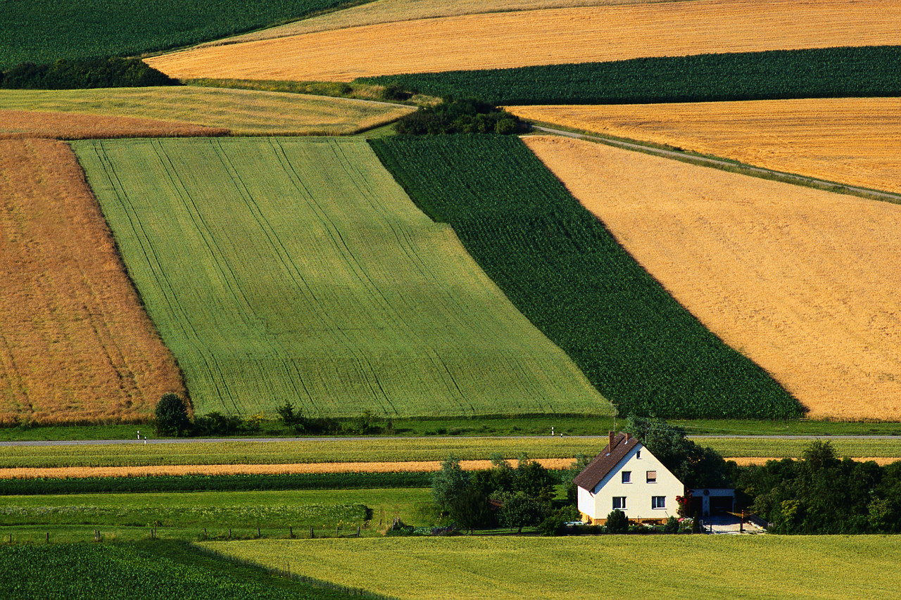 Idaho Goes Organic
