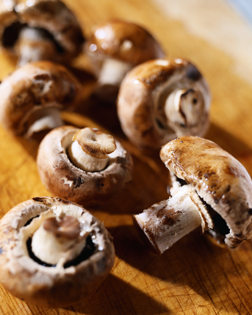 What is Fungus Doing in Your Body?  