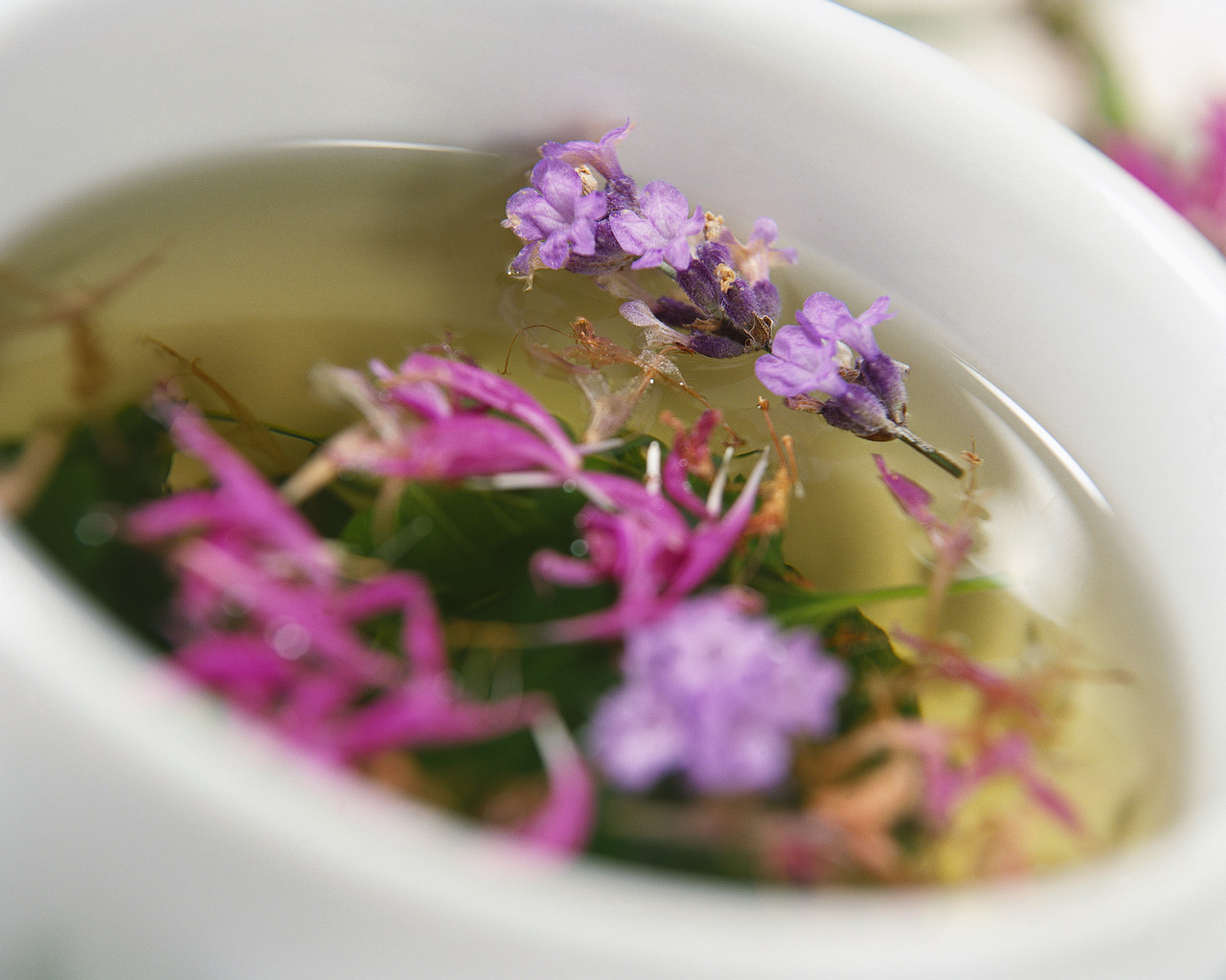Hidden in the Tea Leaves