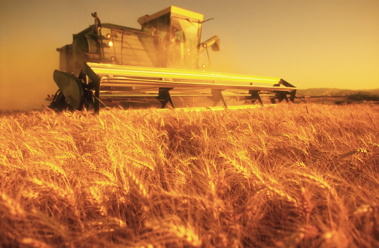 Pesticides Increase Risk for Parkinson's Disease