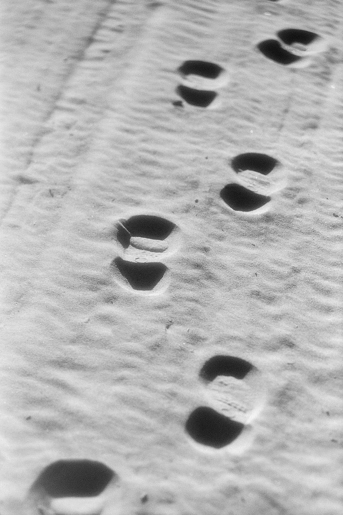 12 Steps on a Rocky Path