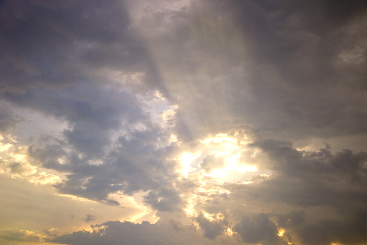 Looking for the Silver Lining Works
