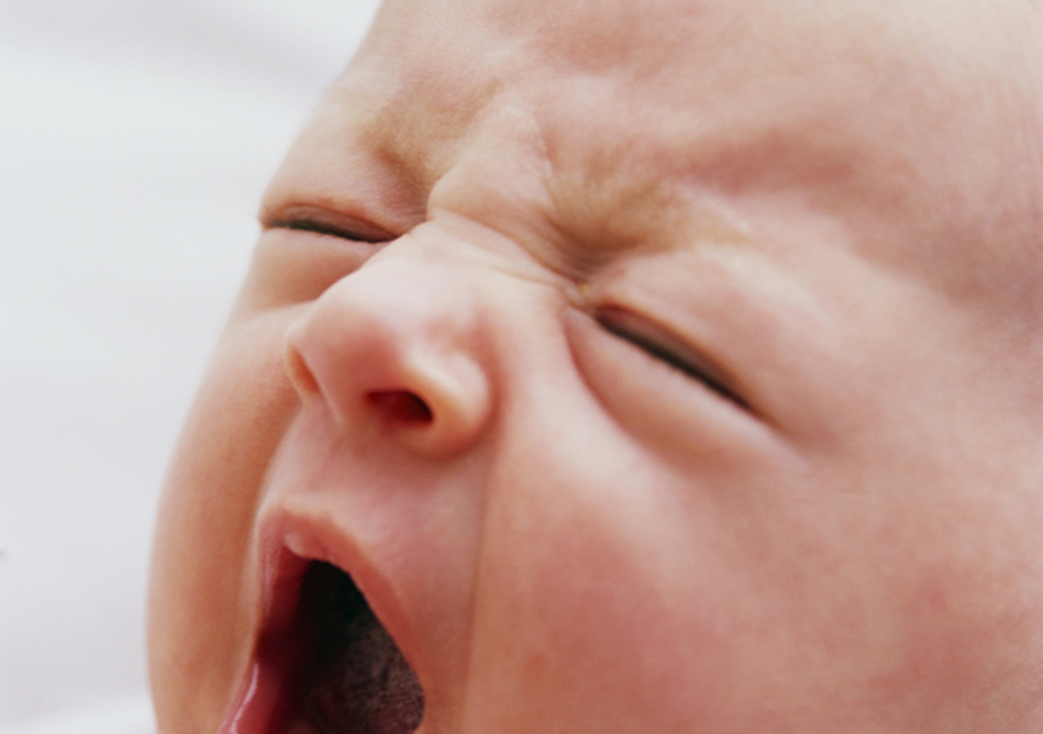Can a Little Bacteria Prevent Allergies?