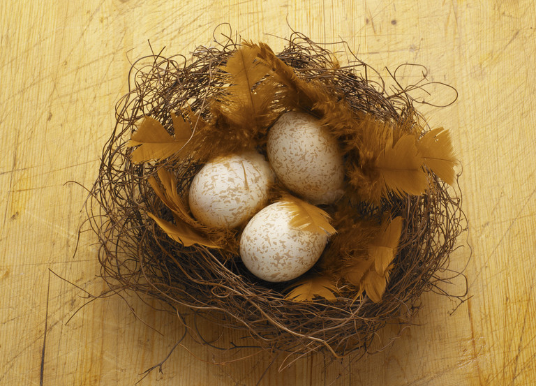 Get an Egg, Grow an Egg