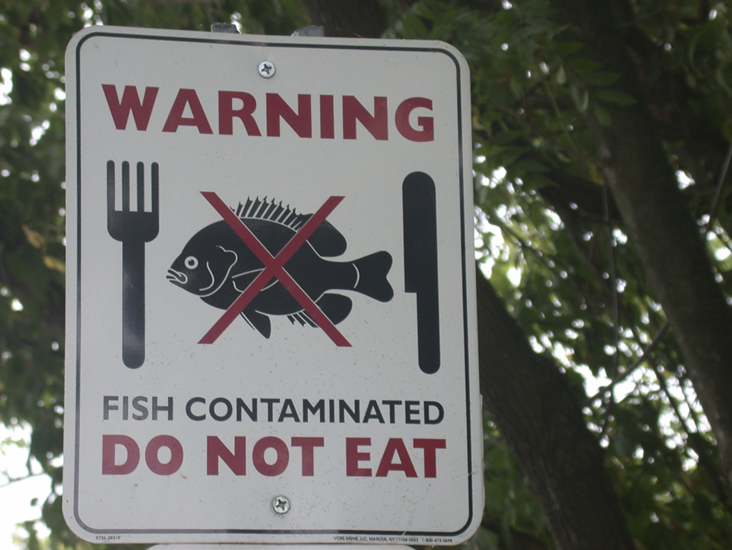 JFC International Inc. Recalls Uneviscerated Capelin